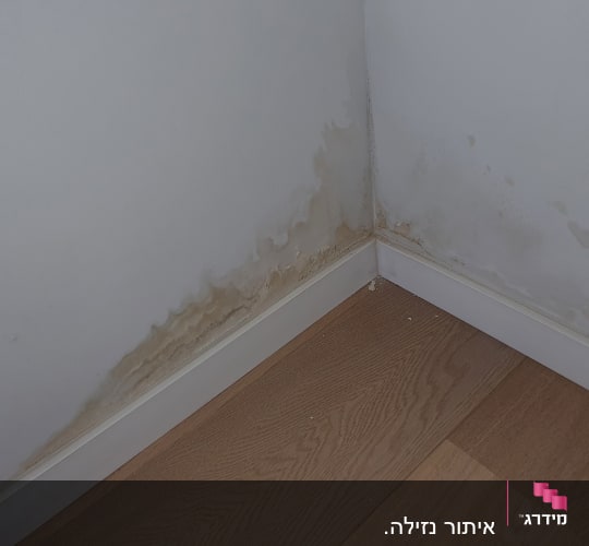 כתמי רטיבות על קיר בפינת חדר